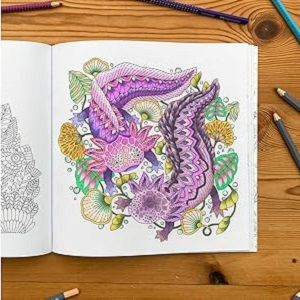 Millie Marotta’s Adult Coloring Books