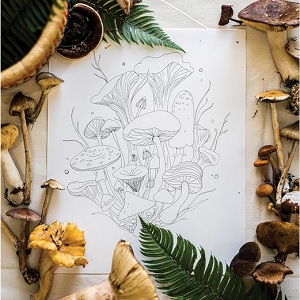 woodland and forest coloring books